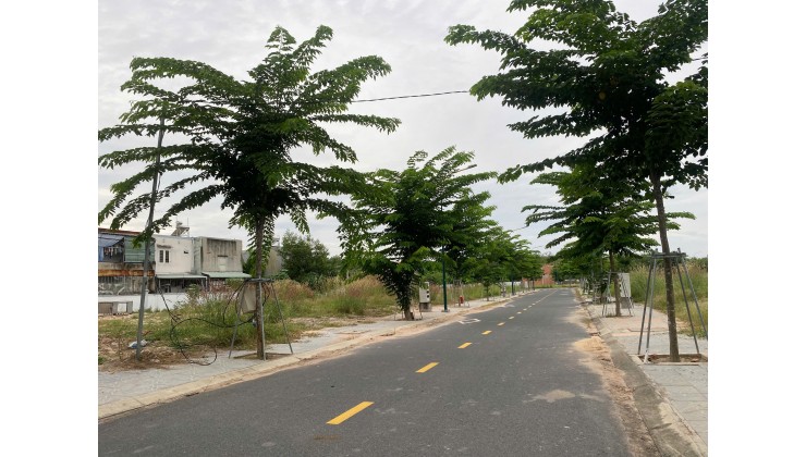 Đầu Tư An Toàn: Lô Đất Nền Tại Hòa Lợi, Sổ Sẵn, Tiện Ích Đầy Đủ Đất Dự Án Richland Residence – Thổ Cư 100%, Gần KCN Mỹ Phước 3